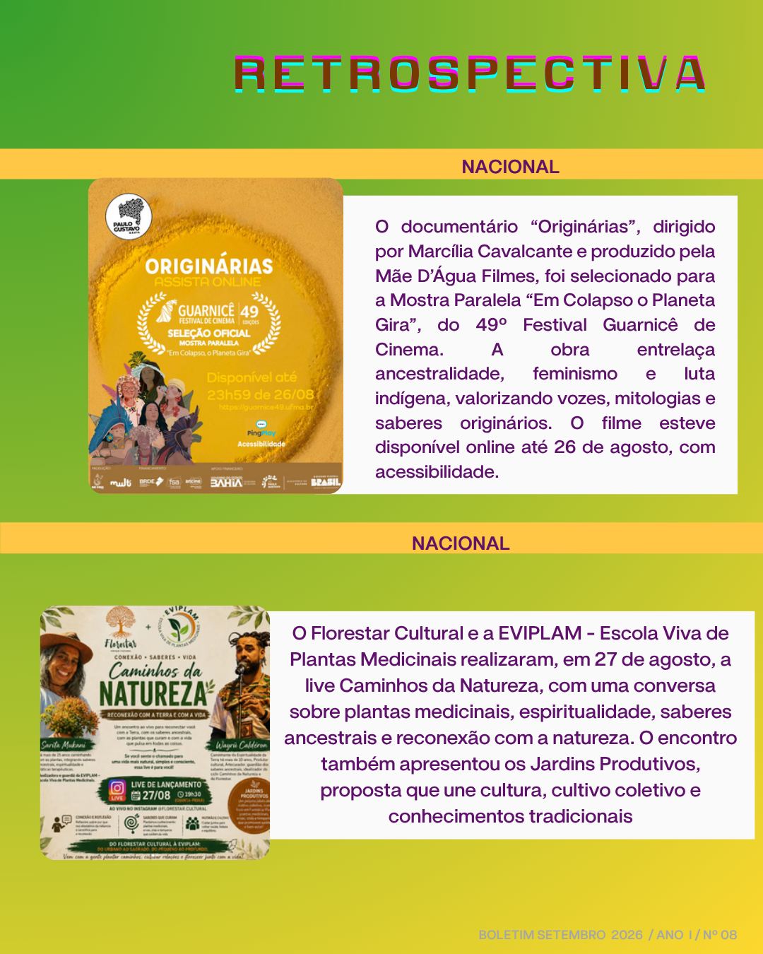 Boletim 8 — página 15