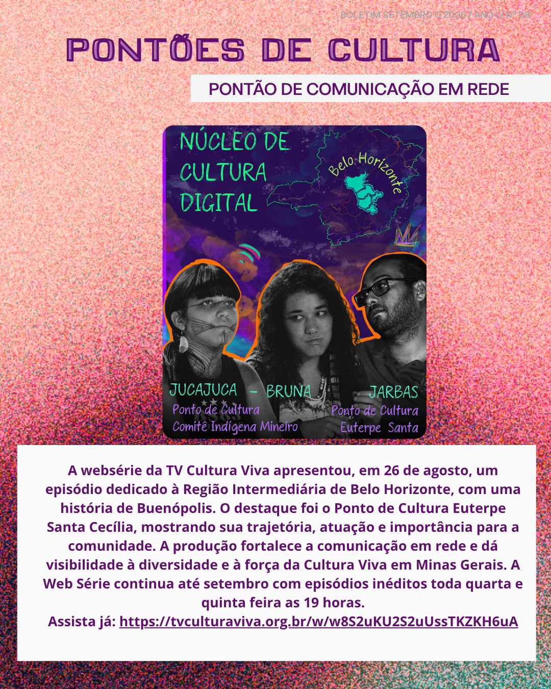 Boletim 8 — página 17