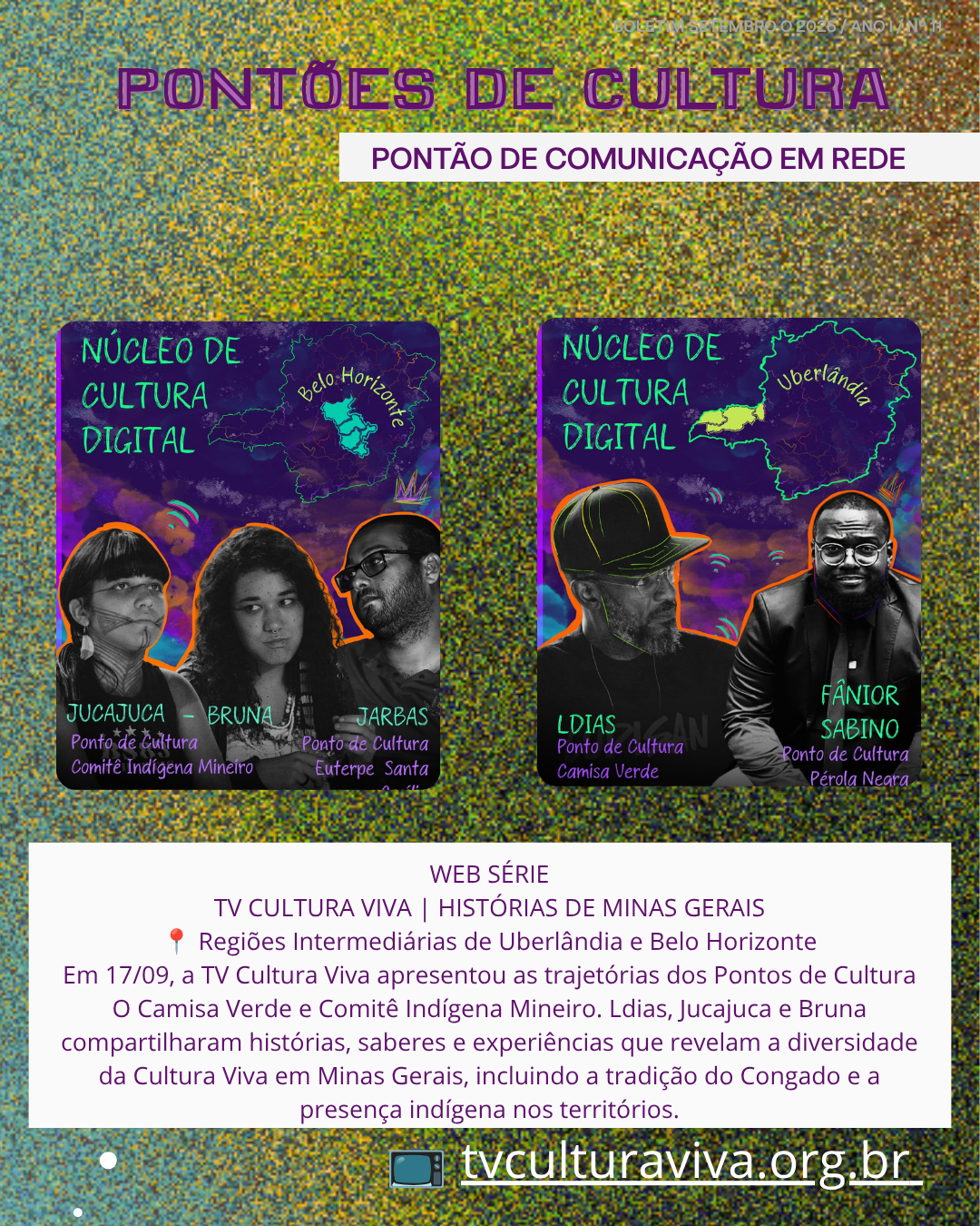 Boletim 11 — página 8